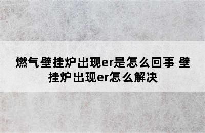 燃气壁挂炉出现er是怎么回事 壁挂炉出现er怎么解决